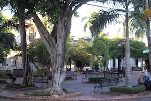 park.300x200