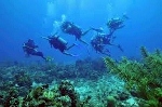 La Caleta, Santo Domingo diving