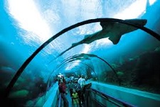 National Aquarium, Santo Domingo