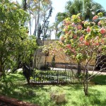 Colonial Zone Santo Domingo