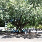 Colonial Zone Culture