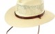 Stetson Panama Hat